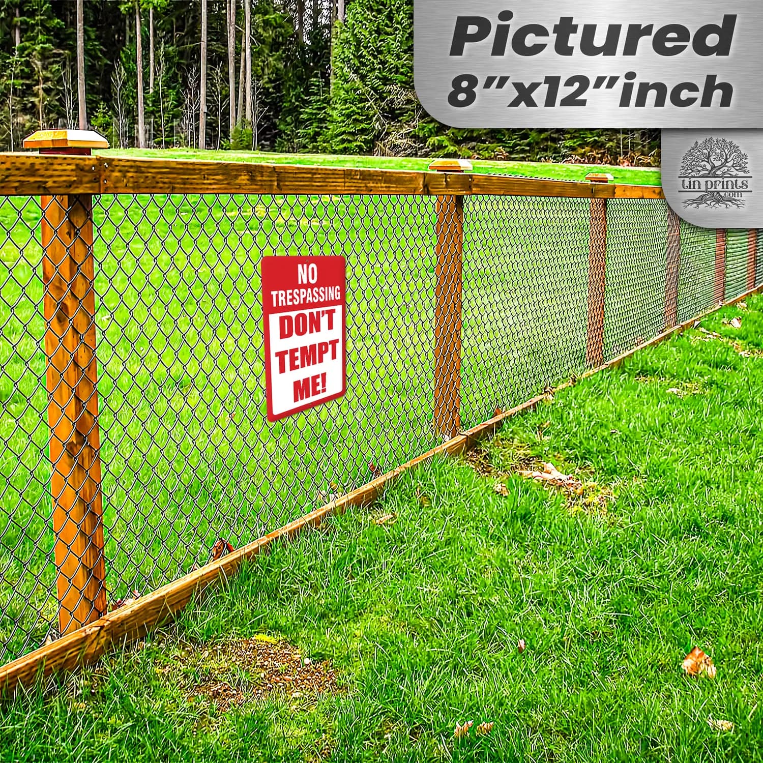 Product Image - View 9
